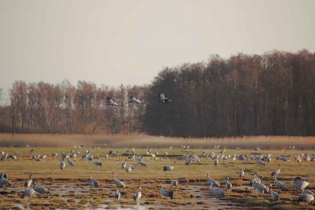 Kuskahusen Vandrarhem Andrarum-Brosarp Zewnętrze zdjęcie